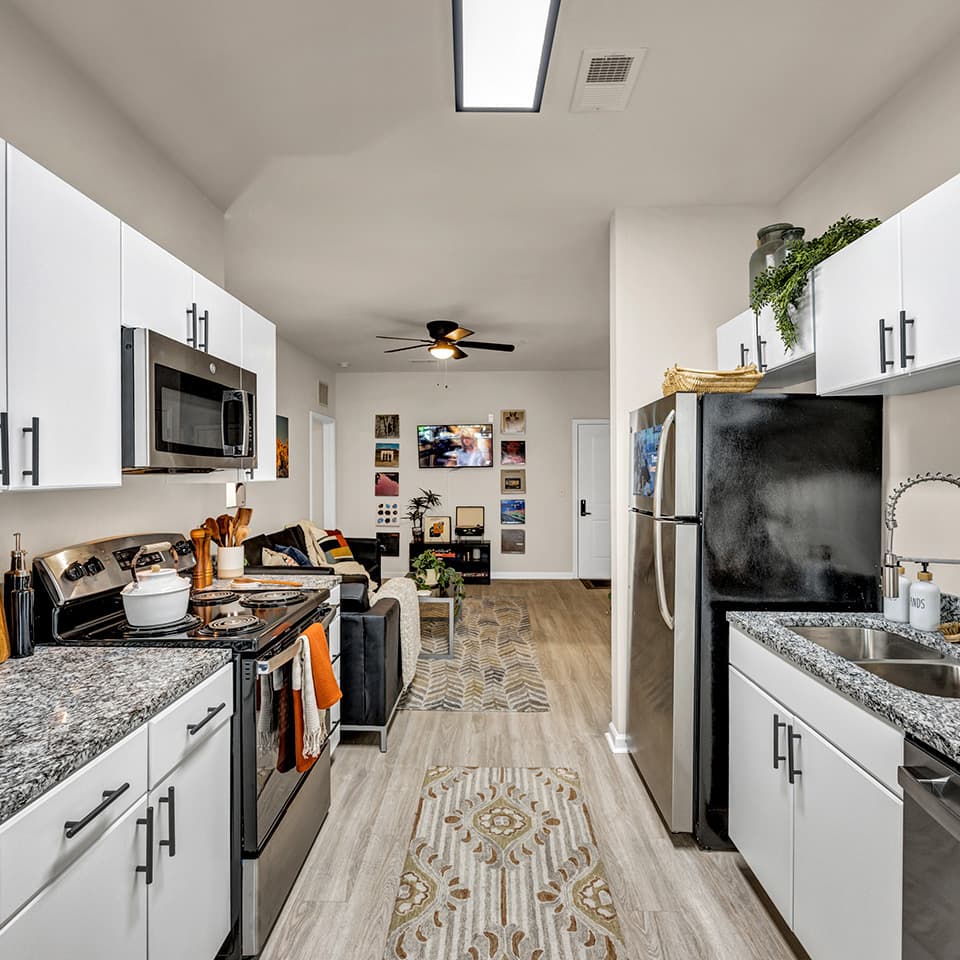 Luxe—Model—Kitchen-(4)